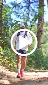 BIB:  <button type="button" onclick="openModal(26787582)" class="btn btn-primary btn-sm float-right" data-toggle="modal" data-target=".modal-high-quality">
                <i class="fa fa-download"></i> Download
                </button>